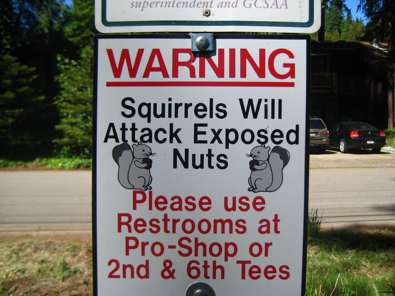funny-signs-photo-1.jpg